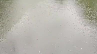 湖水雨天雨水拍摄拍摄视频的预览图